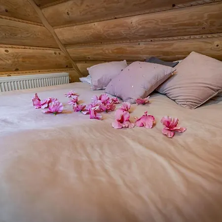 Sywor 考斯赛力克