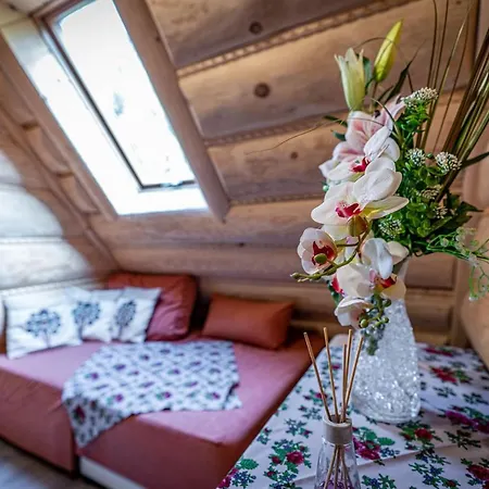 Sywor 考斯赛力克