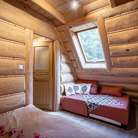 Sywor 考斯赛力克